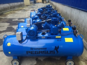 Máy nén khí dây đai PEGASUS TM-W-0.36/12.5-120L